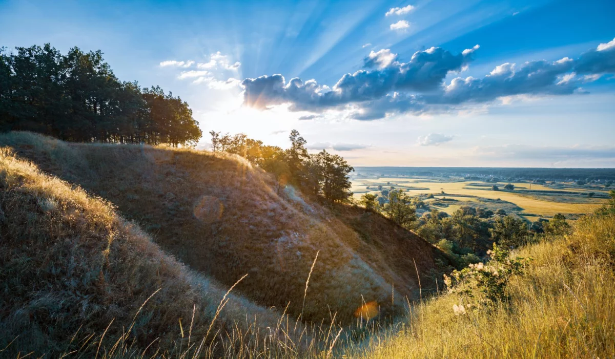 Artykuł o stomatologii - poradnik dla pacjentów