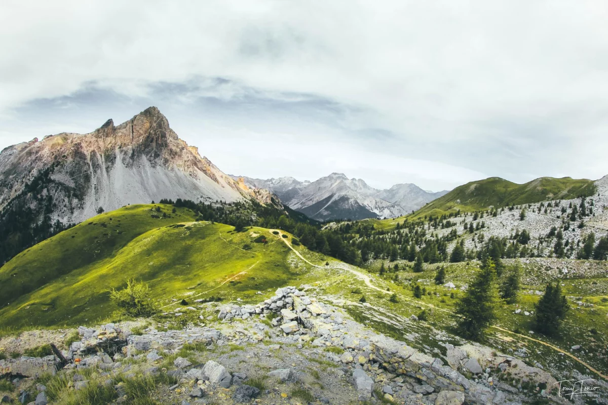 10 pomysłów na meble ogrodowe DIY: palety, drewniane ławki, stolik z odzysku, instrukcje krok po kroku, orientacyjny koszt i porady konserwacji