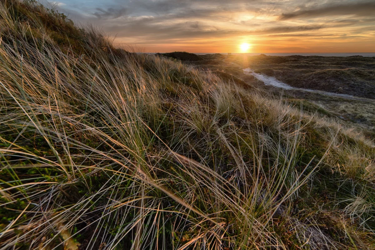 Czy można kupić szkolenia okresowe bhp rano?