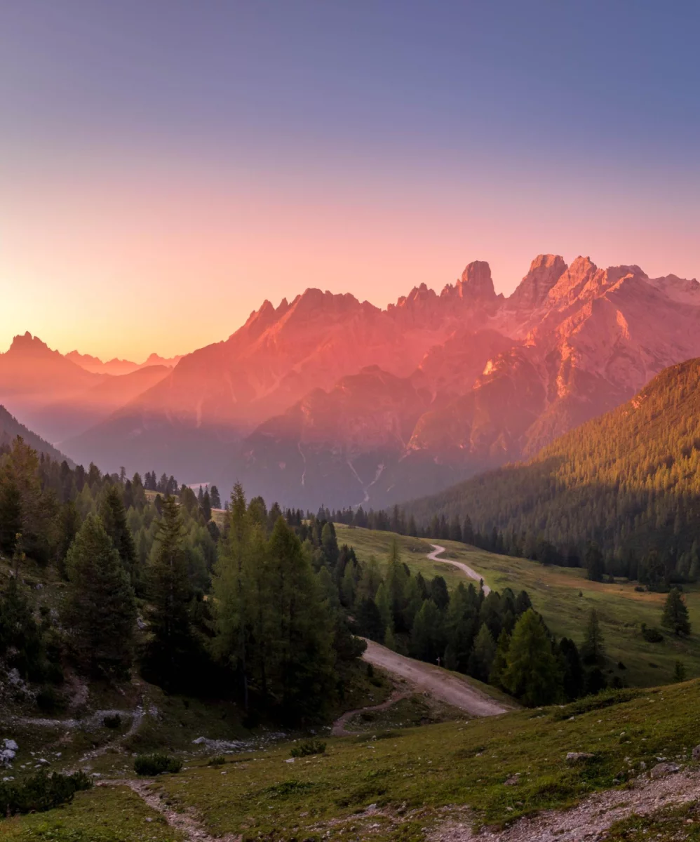 Usługi GPAIS: Kompletny przewodnik — porównanie ofert, koszty wdrożenia, korzyści dla firm i administracji oraz studium przypadku