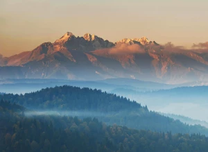 Wykańcza Cię Już Szukanie Rozwiązań Aby jeździć autem?